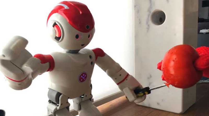 Ternyata Robot Mudah Diretas Untuk Serang Pemiliknya