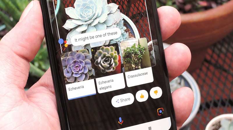 Google Lens Tunjukkan Bagaimana Kecerdasan Buatan Jadikan Hidup Lebih Mudah