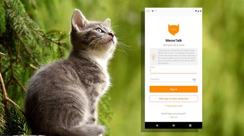 Aplikasi MeowTalk